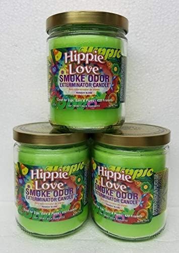 10 Best Candle For Smoke Odor