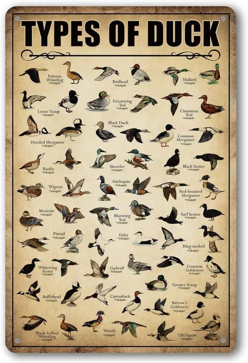 10 Best Duck Hunting Gifts