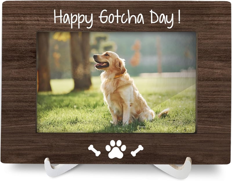 15 Regalos Personalizados Para Dueños De Perros