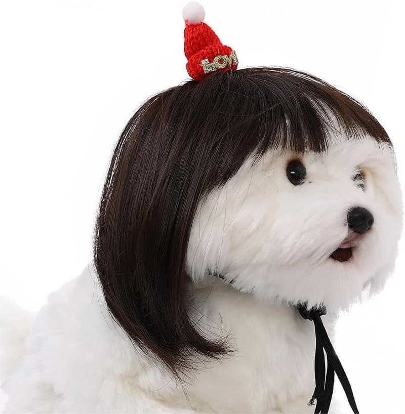 15 Thing 1 And Thing 2 Dog Costume[We Studied 30]