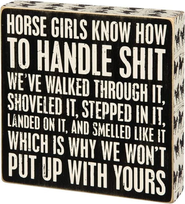 15 Unique Gifts For Horse Lovers Christmas[We Studied 34]