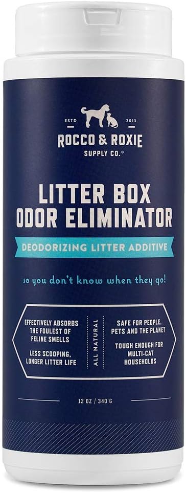10 Best No Smell Litter Box