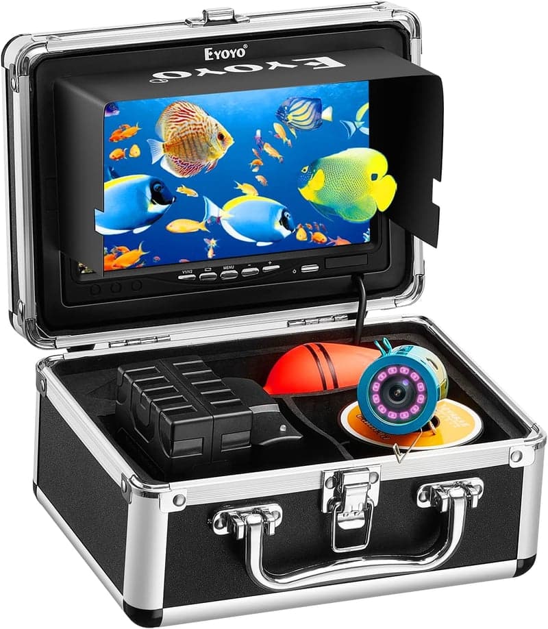 7 Best Fishing Cameras