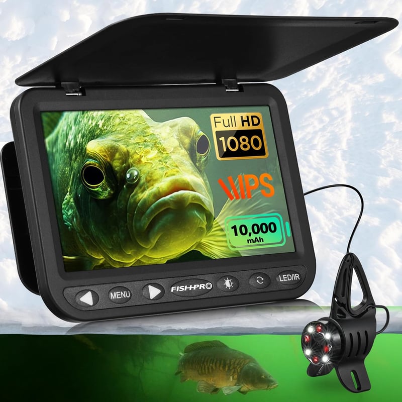7 Best Underwater Fish Camera