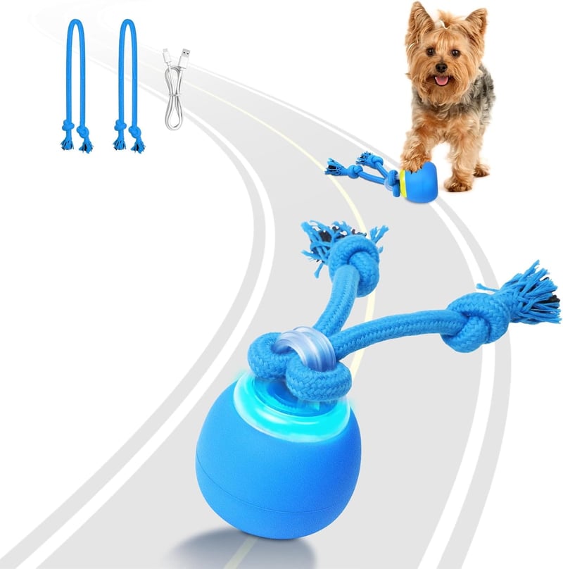 15 Dog Toy That Moves Around Yard[We Studied 34]