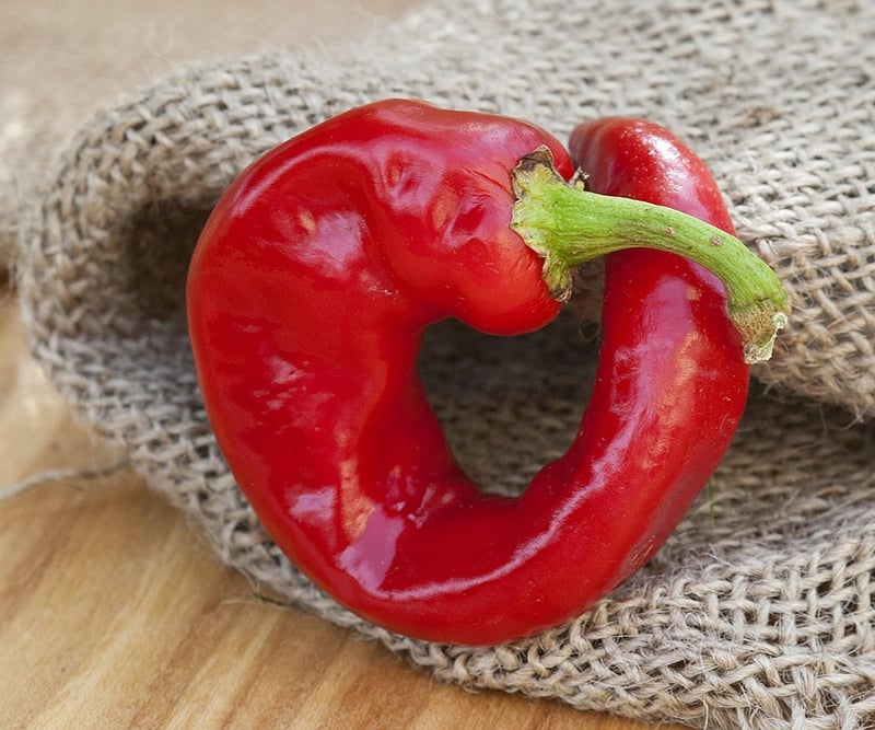 15 Dragon’s Breath Pepper Seeds For Sale[We Studied 39]