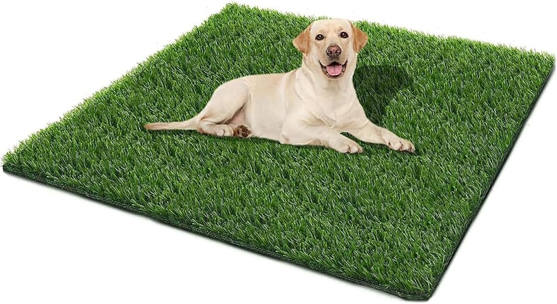 15 Best Indoor Potty For Small Dogs