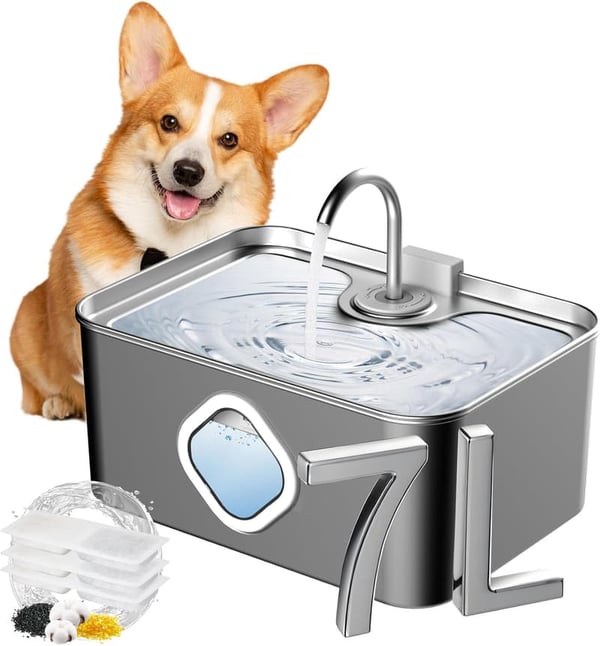 15 Battery Operated Heated Water Bowl For Dogs[We Studied 40]