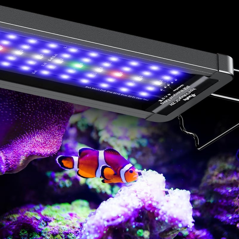 15 Best Led Lighting For Reef Tank