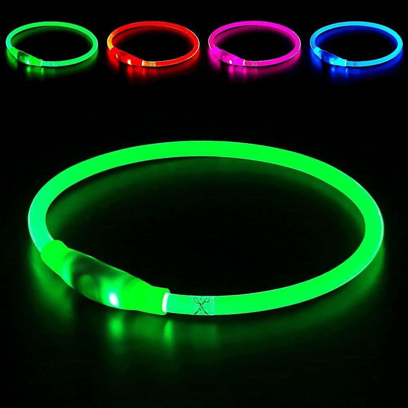 9 Best Dog Collar Lights