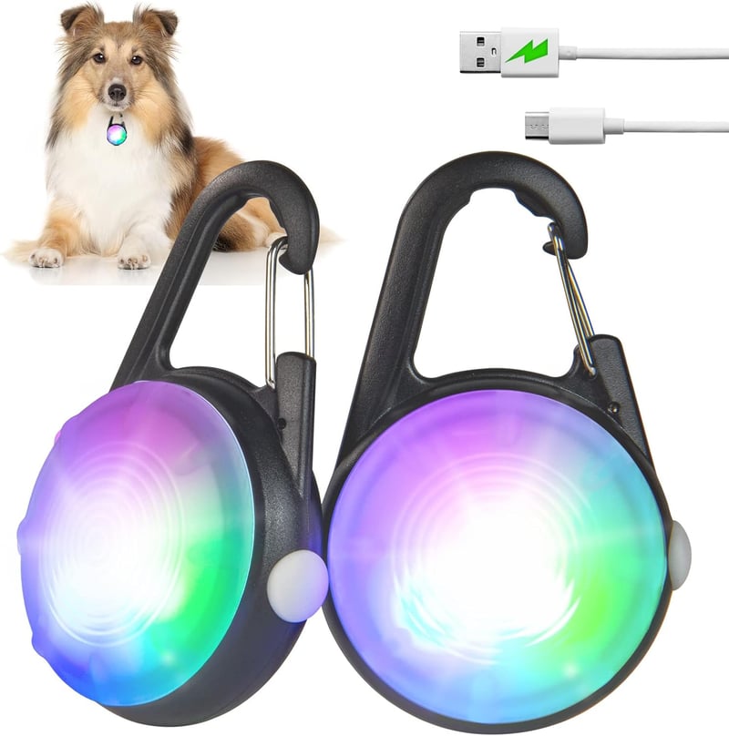 9 What Are The Best Dog Collar Lights