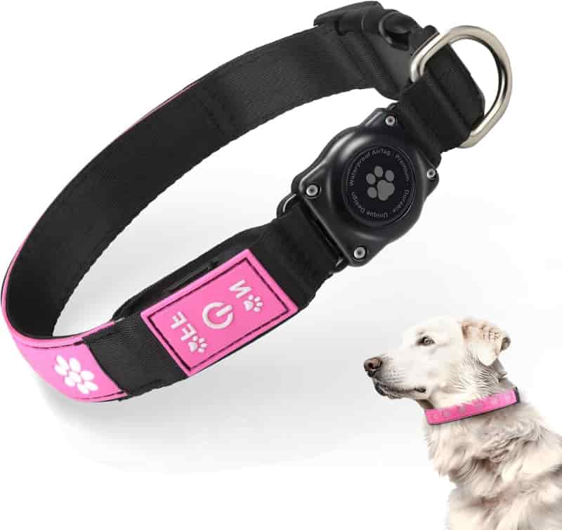 10 Best Dog Light Collar