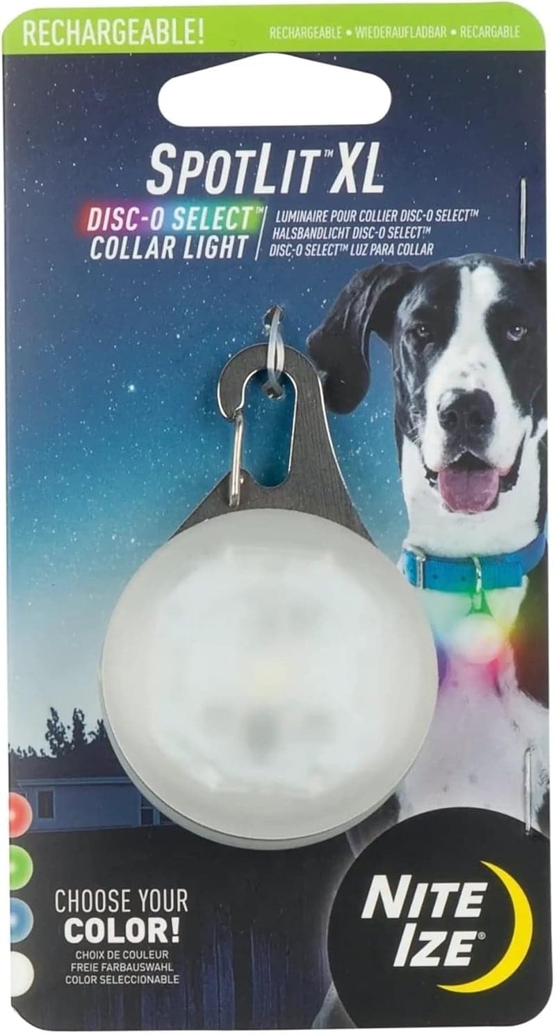 8 Best Dog Light