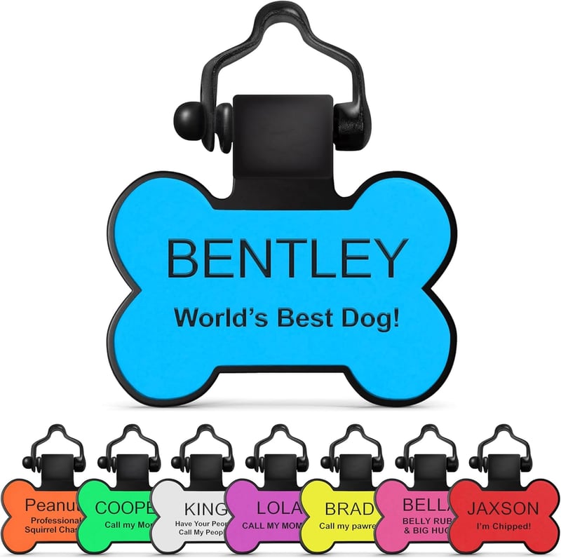 10 Best Dog Collar Light