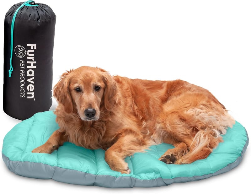 8 Best Dog Sleeping Bag