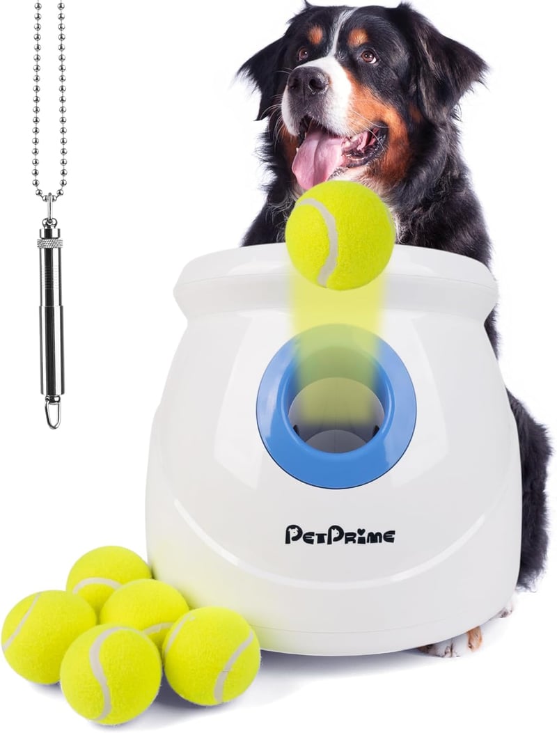 10 Best Dog Ball Launcher