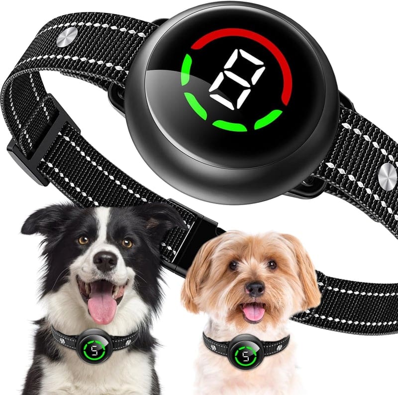 10 Best Led Dog Collar