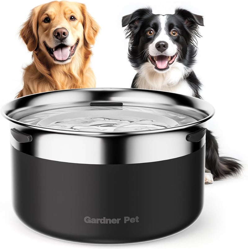 9 Best Non Spill Dog Water Bowl