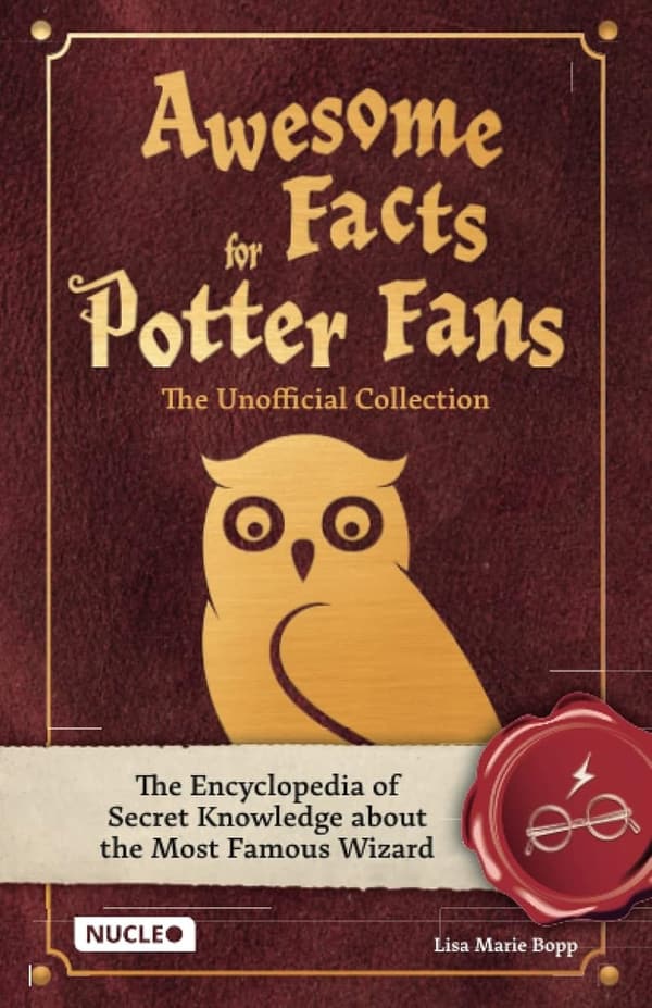 15 Harry Potter Gift Ideas For Boy[We Studied 31]