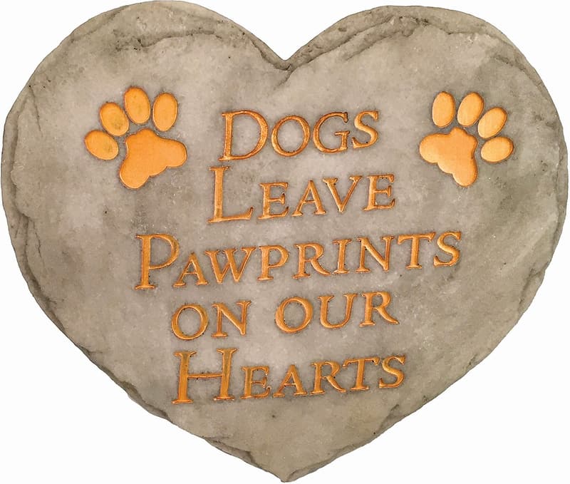 15 Dogs Leave Paw Prints On Our Hearts