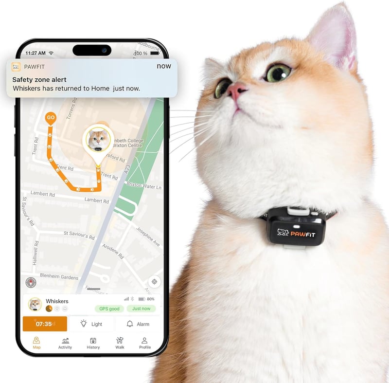 15 How Do Cat Gps Trackers Work
