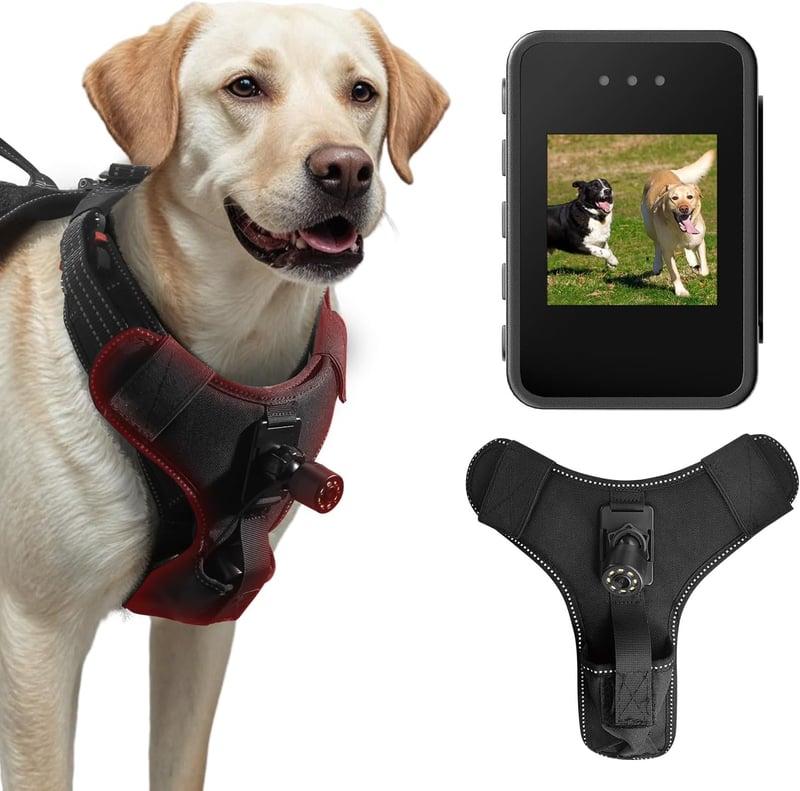 15 Kurgo Dog Harness With Camera Mount[We Studied 36]