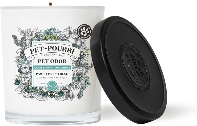 10 Best Pet Odor Candles