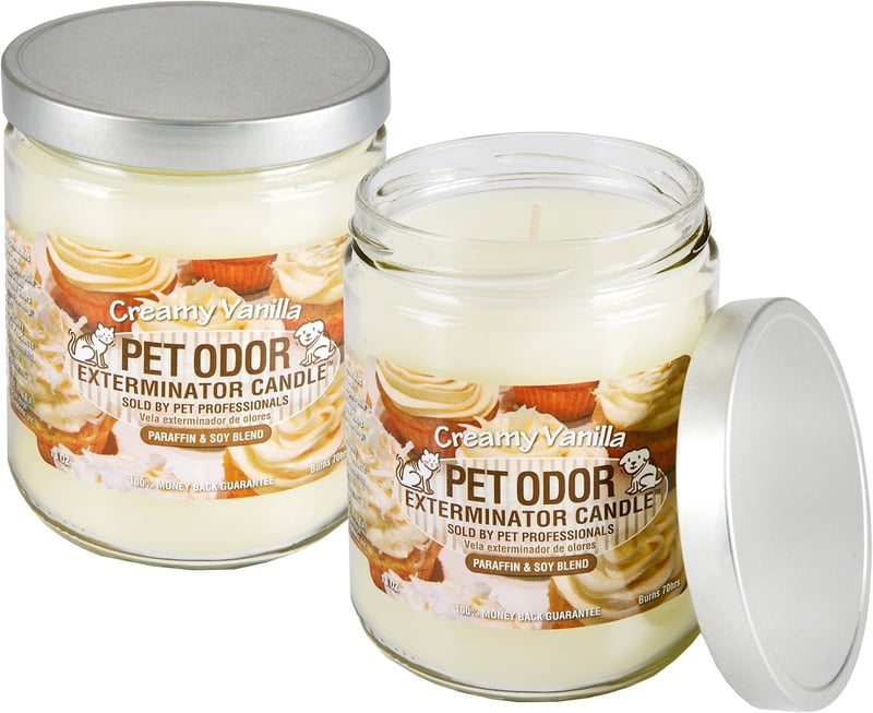9 Best Pet Odor Eliminator Candle