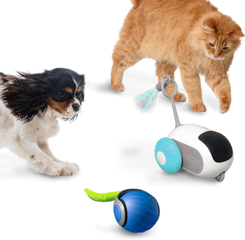 15 Best Remote Control Mouse For Cats