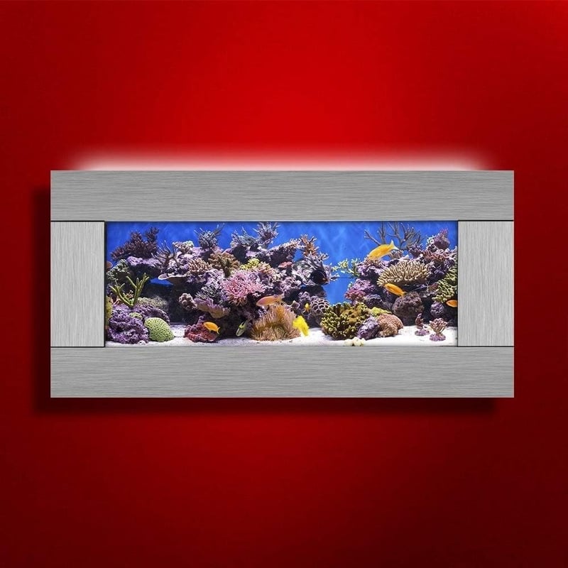 9 Best Wall Mounted Fish Tank