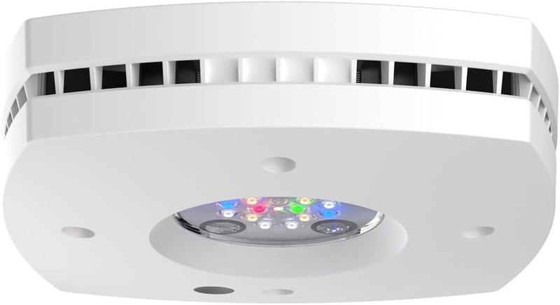 8 Best Led Reef Light