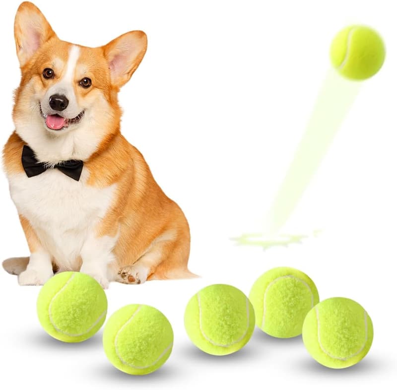 15 How Long Do Dog Ball Launchers Last