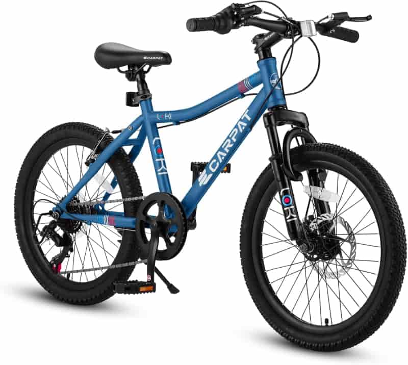 9 Cheapest Snow Bike Kit