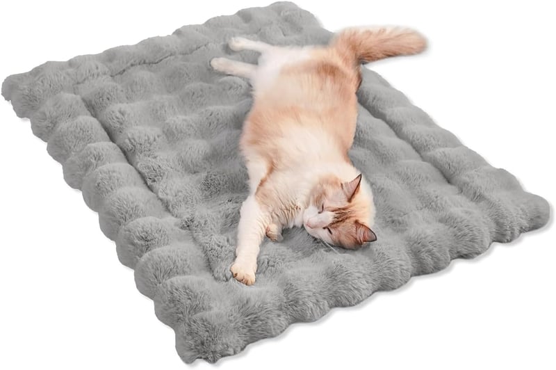 8 Most Expensive Cat Bed