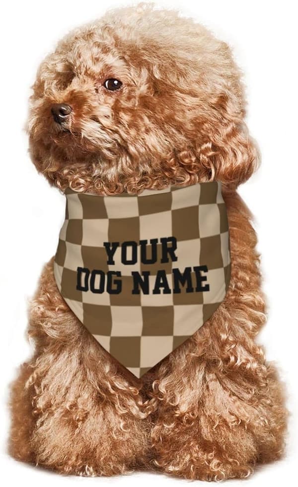 15 Personalized Dog Gifts For Giveaway Ideas[We Studied 42]