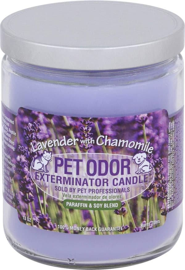 15 Pet Odor Exterminator Candle Pumpkin Spice