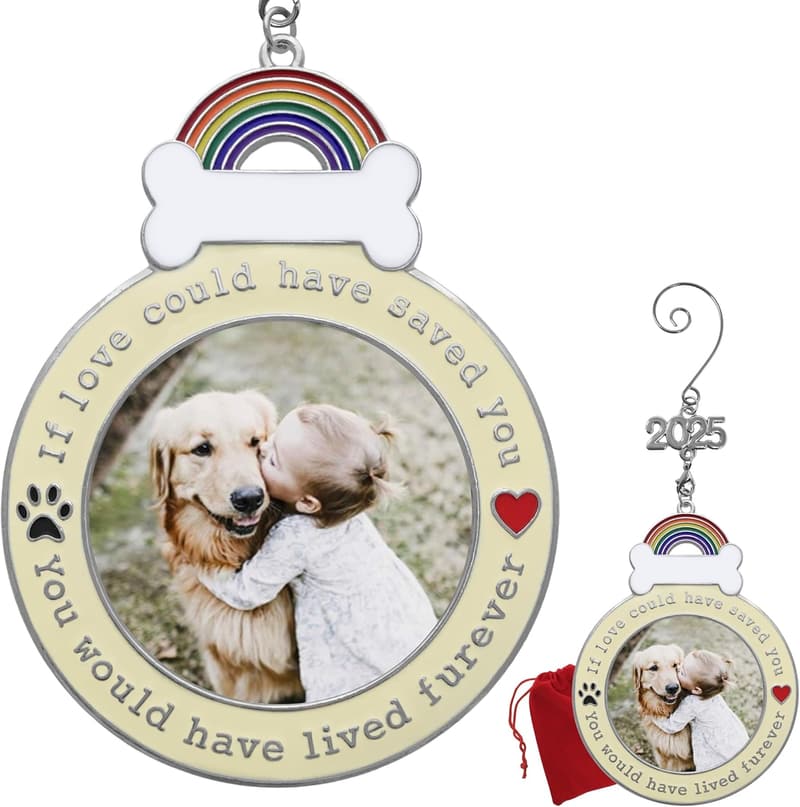 15 Ornaments For Pets That Have Passed Away