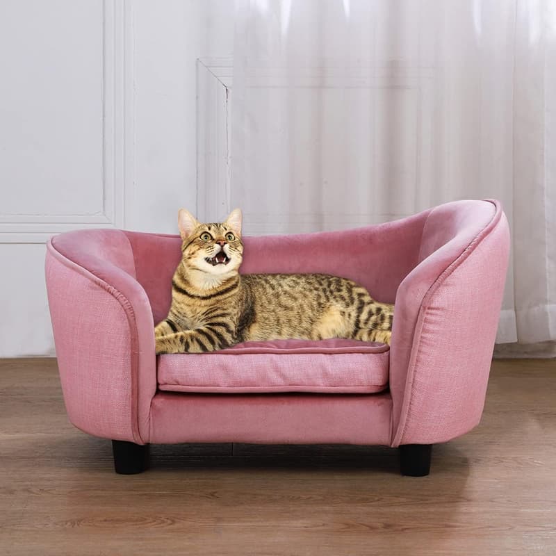 15 Bed Frame For Cat Owners
