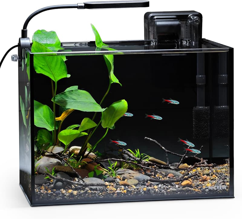 15 Coffee Table Aquarium For Sale [We Studied 38]