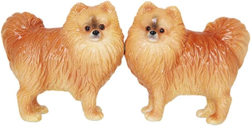 15 Pomeranian Gifts Dog Lovers [We Studied 35]