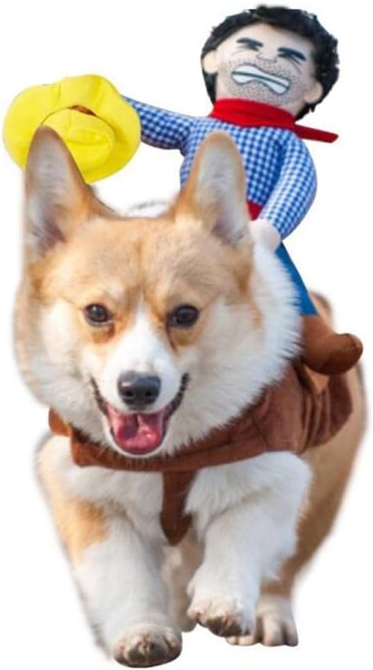 15 Star Wars Dog Costumes [We Studied 43]