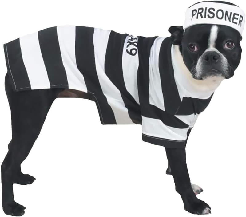 15 Poop Factory Dog Costume