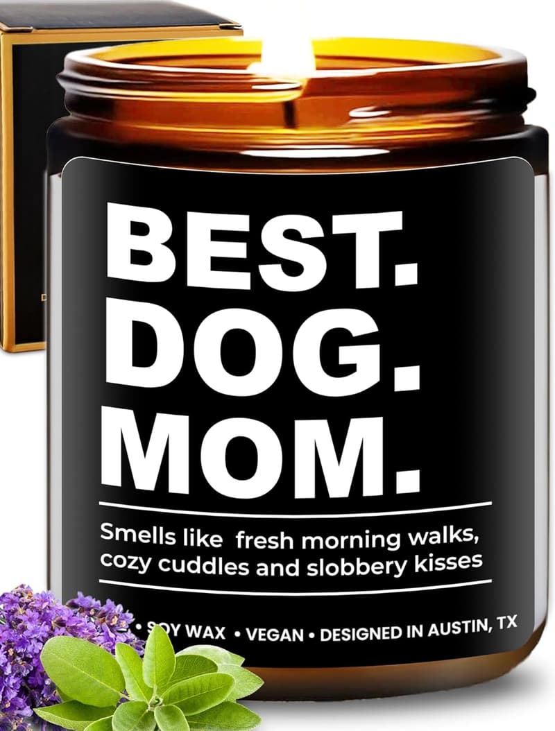 15 Best Candles For Pet Odor