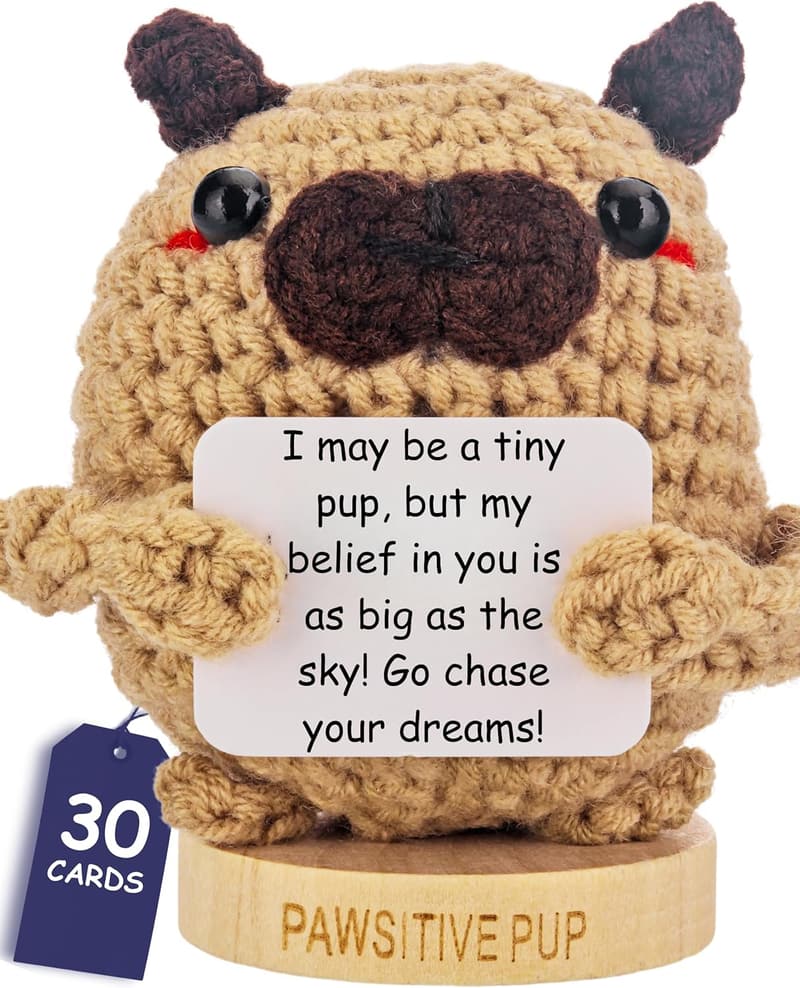 15 Fun Dog Gifts For Owners [We Studied 30]