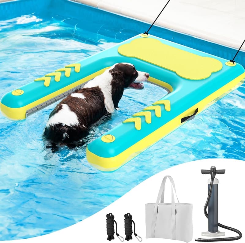 15 Best Pool Ramp For Dog