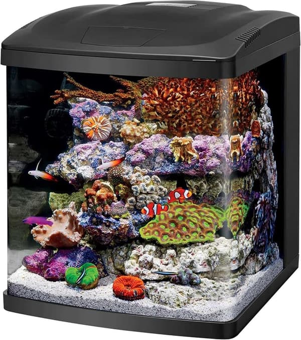15 Diy Self Cleaning Fish Tank