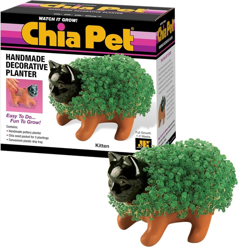 15 Chia Pets Cat [We Studied 44]