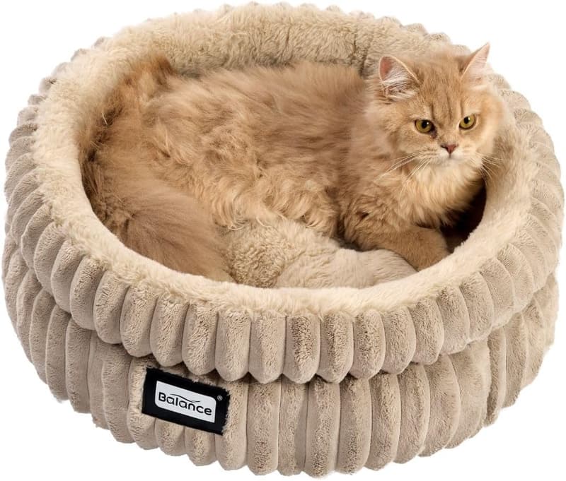 15 Snuggle Beds For Cats