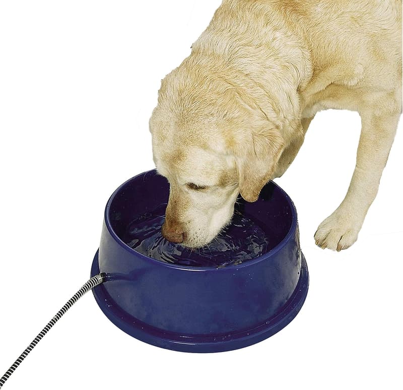 15 Heated Dog Bowl Battery PoWered