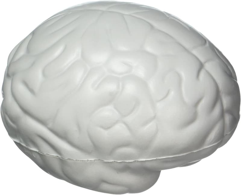 15 Squishy Brain Stress Ball
